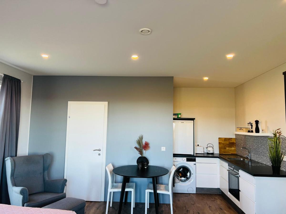 Nyibaer Studio Apartment Selfoss Dış mekan fotoğraf